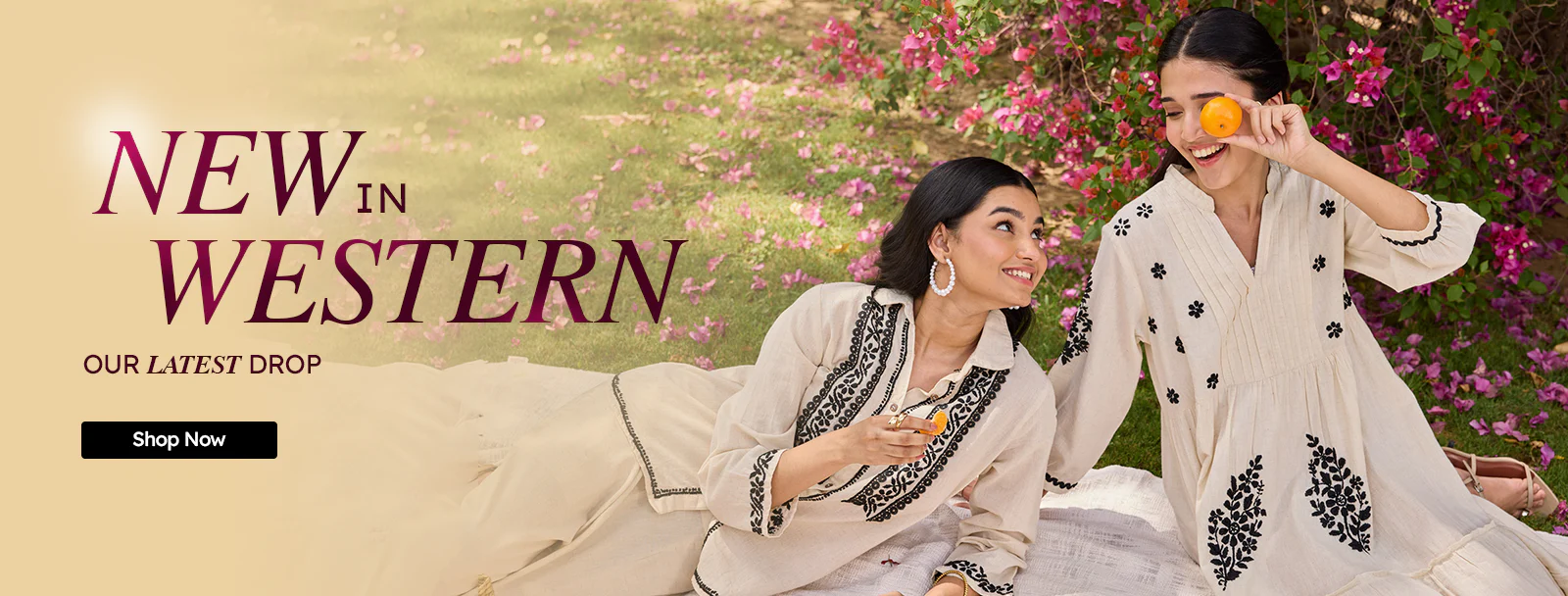 western-banner_website