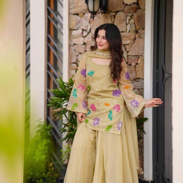 Kyra Organza Kurta Set